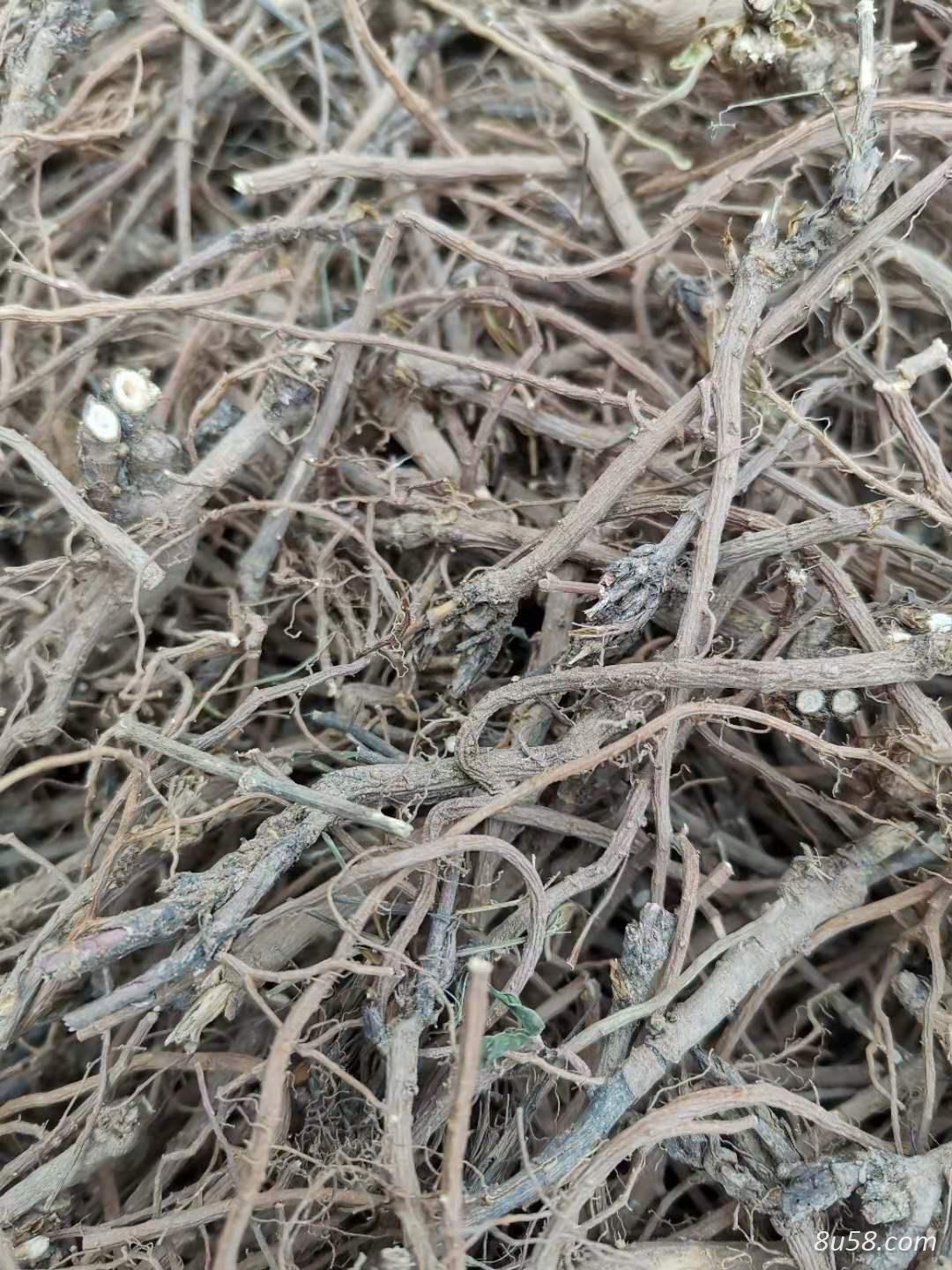 柴胡