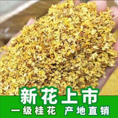 桂花批发