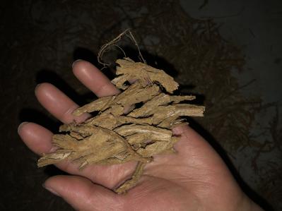 枸杞根（地骨皮）