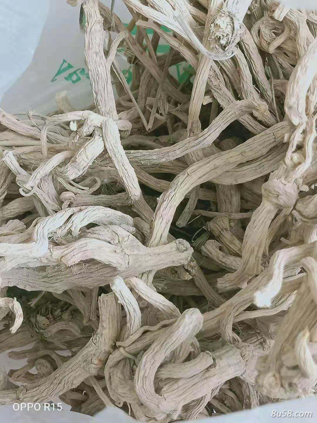 秧播防风