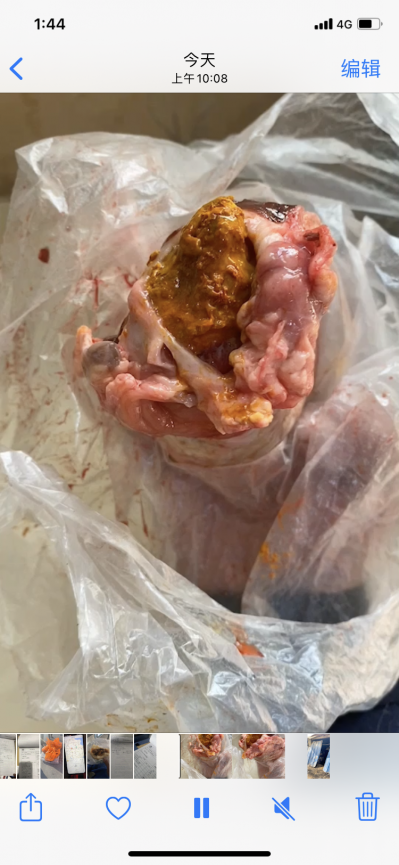 天然牛黄