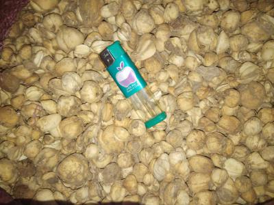新疆贝母；新疆伊贝母批发 伊贝母 新疆伊犁贝母 伊贝母价格 伊贝母批发