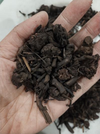茜草炭哪里能买到价格多少