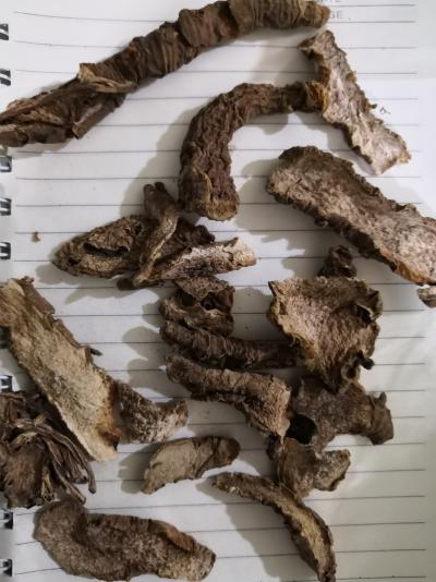 万年青根价格批发