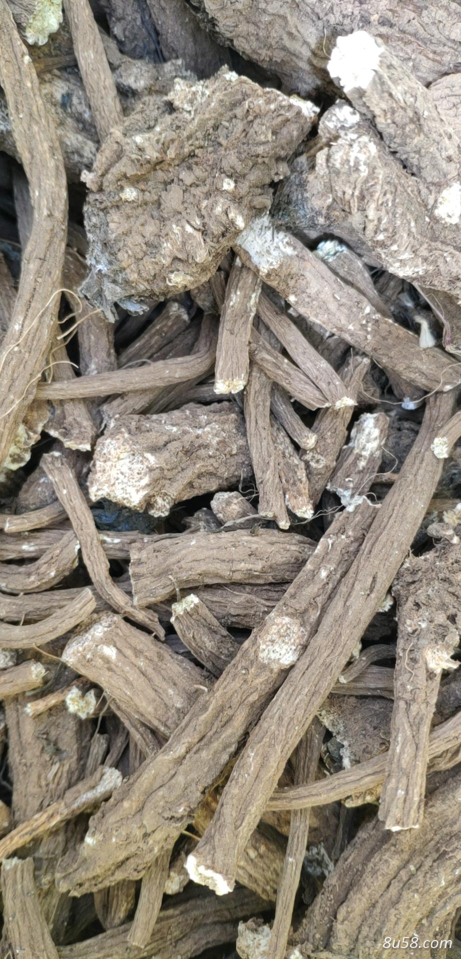 有干木香2吨出售