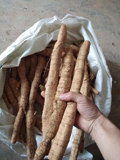 牛大力一手货源