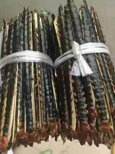 湖南省内百万条蜈蚣直营货源