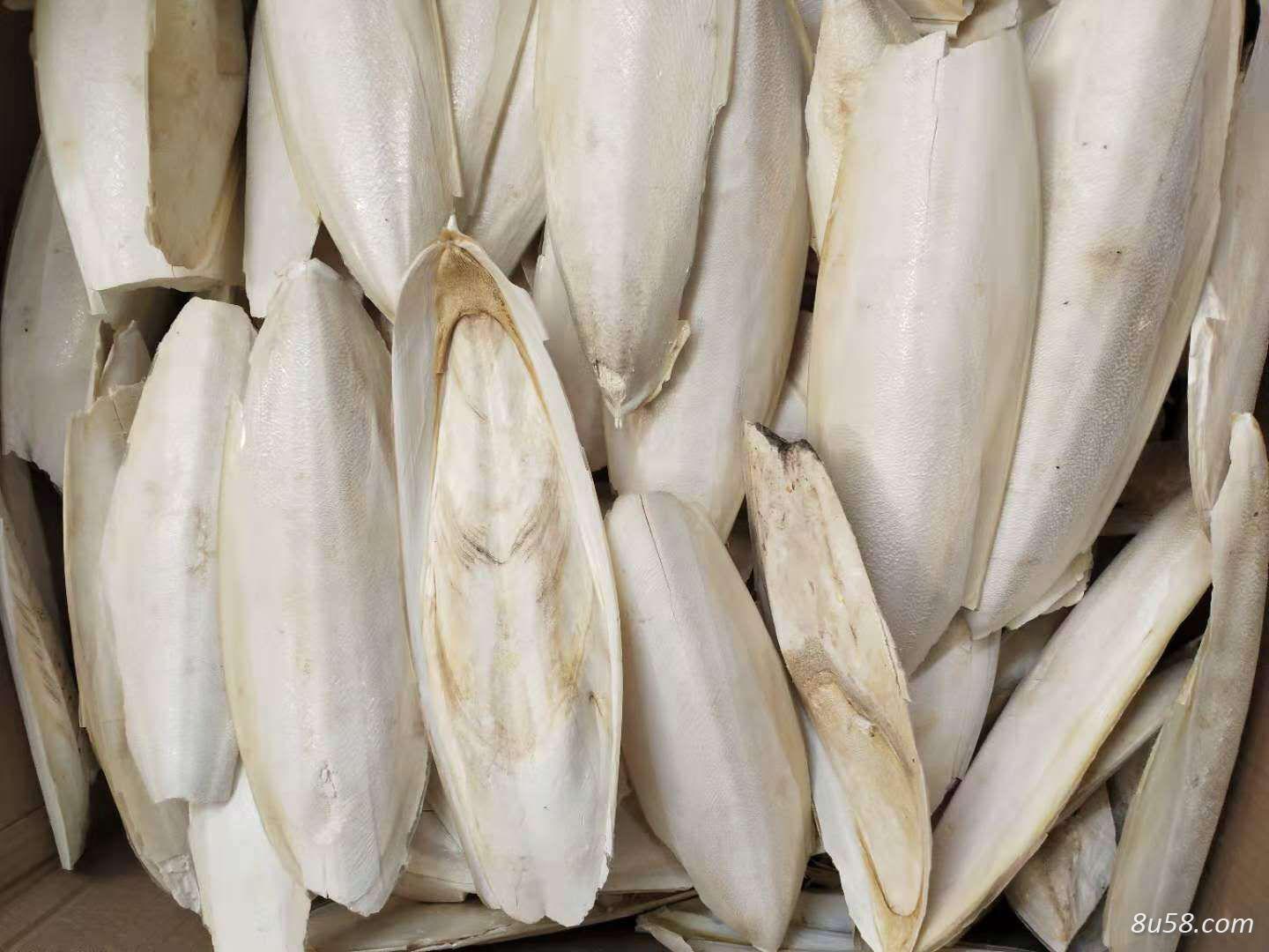 墨鱼壳,乌贼克,海螵蛸。一手货源批发 墨鱼壳,乌贼克,海螵蛸。一手货源批发