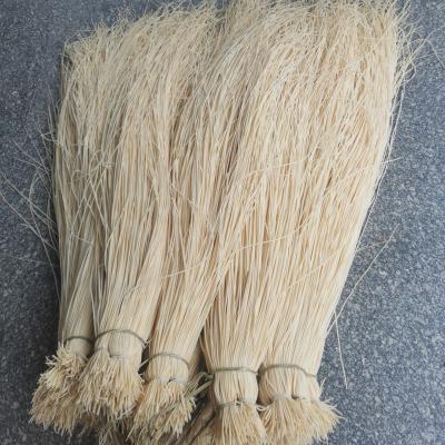 灯心草中药材料产地直销灯心草