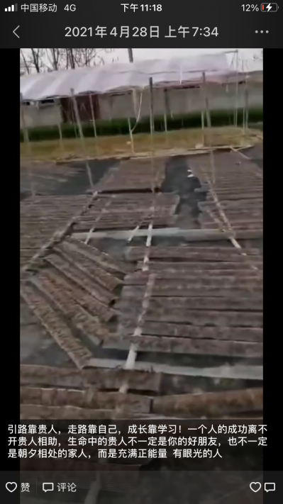 中药材地龙
