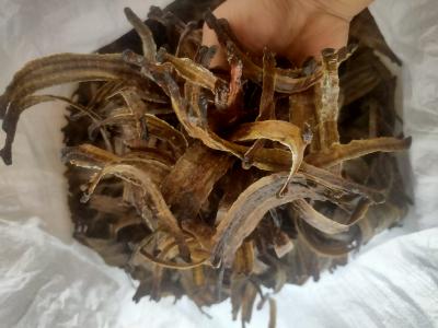 精品水洗网货沪地龙