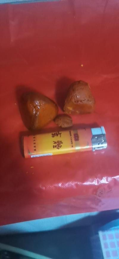 杀牛从苦胆里取出两个天然牛黄