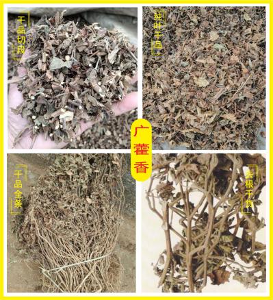 广藿香全条干货切段纯叶子去根干货批发