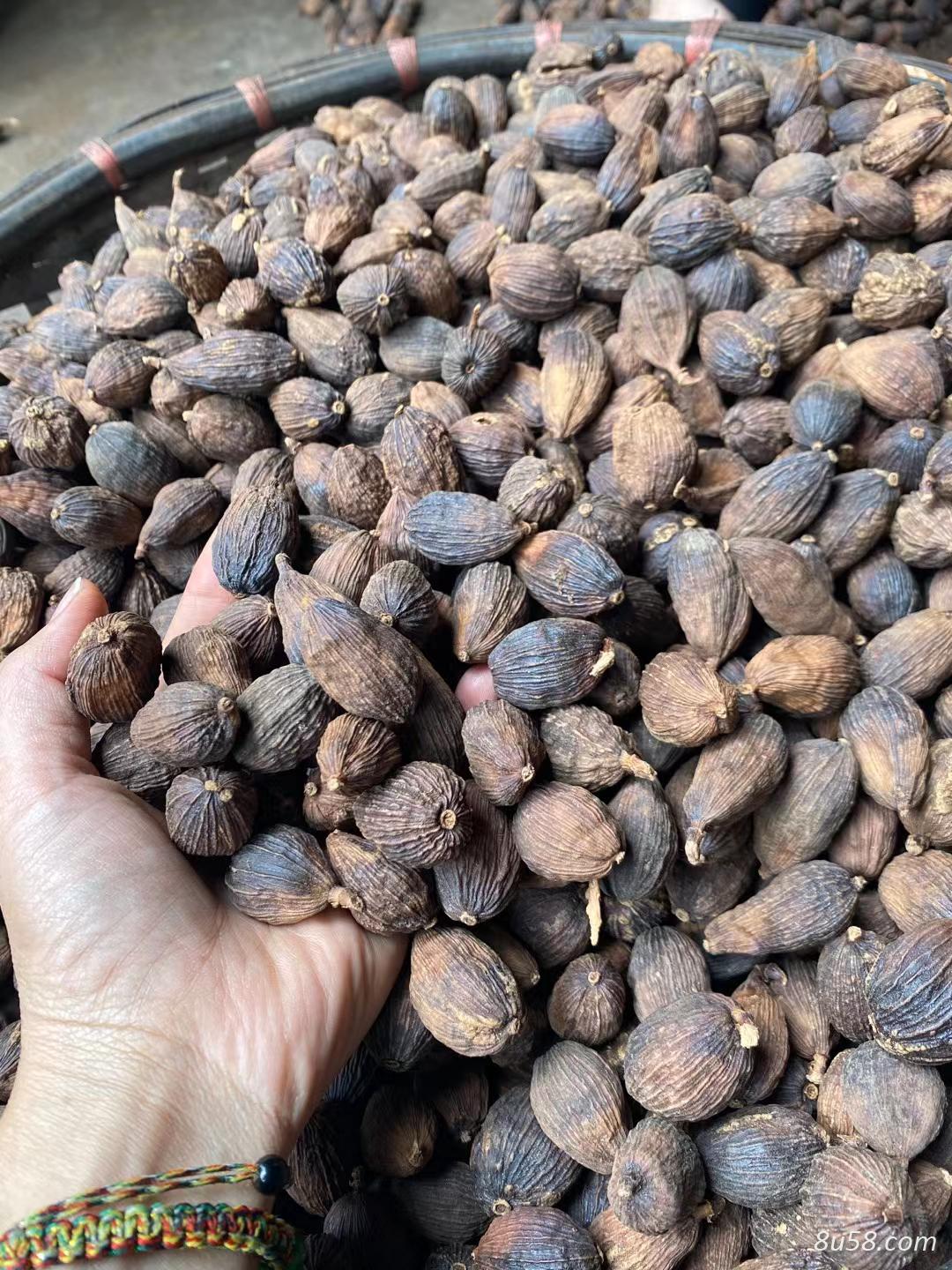 200吨草果出售  正宗云南产地