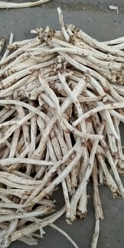 桔梗各种规格，药用，食用，桔梗个子，桔梗斜片，统货选装干桔梗。