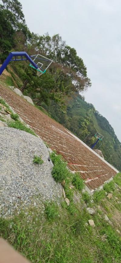 出售大量桂枝
