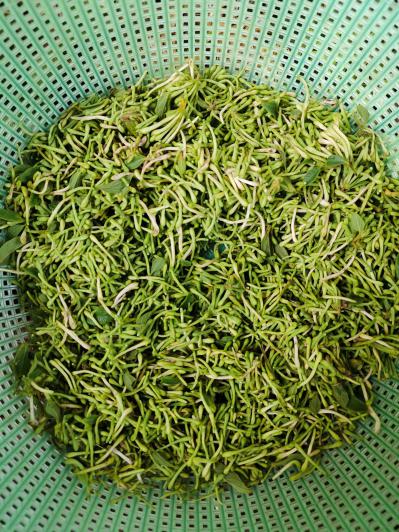 金银花