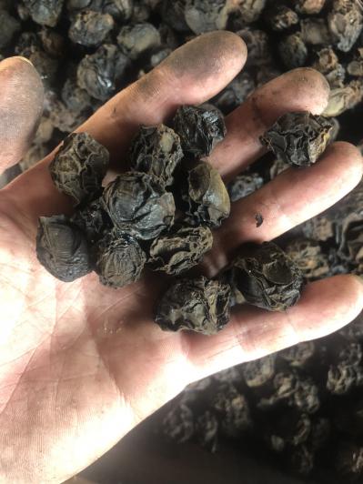 烟熏乌梅