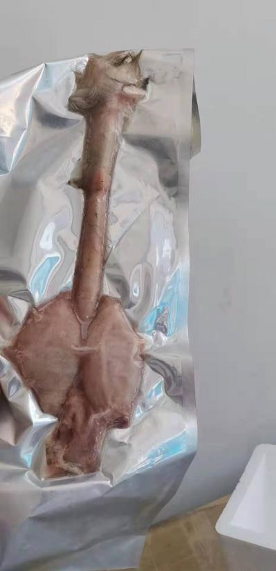 鹿鞭多少钱一根？鹿鞭膏多少钱一盒，全靠其功效和作用