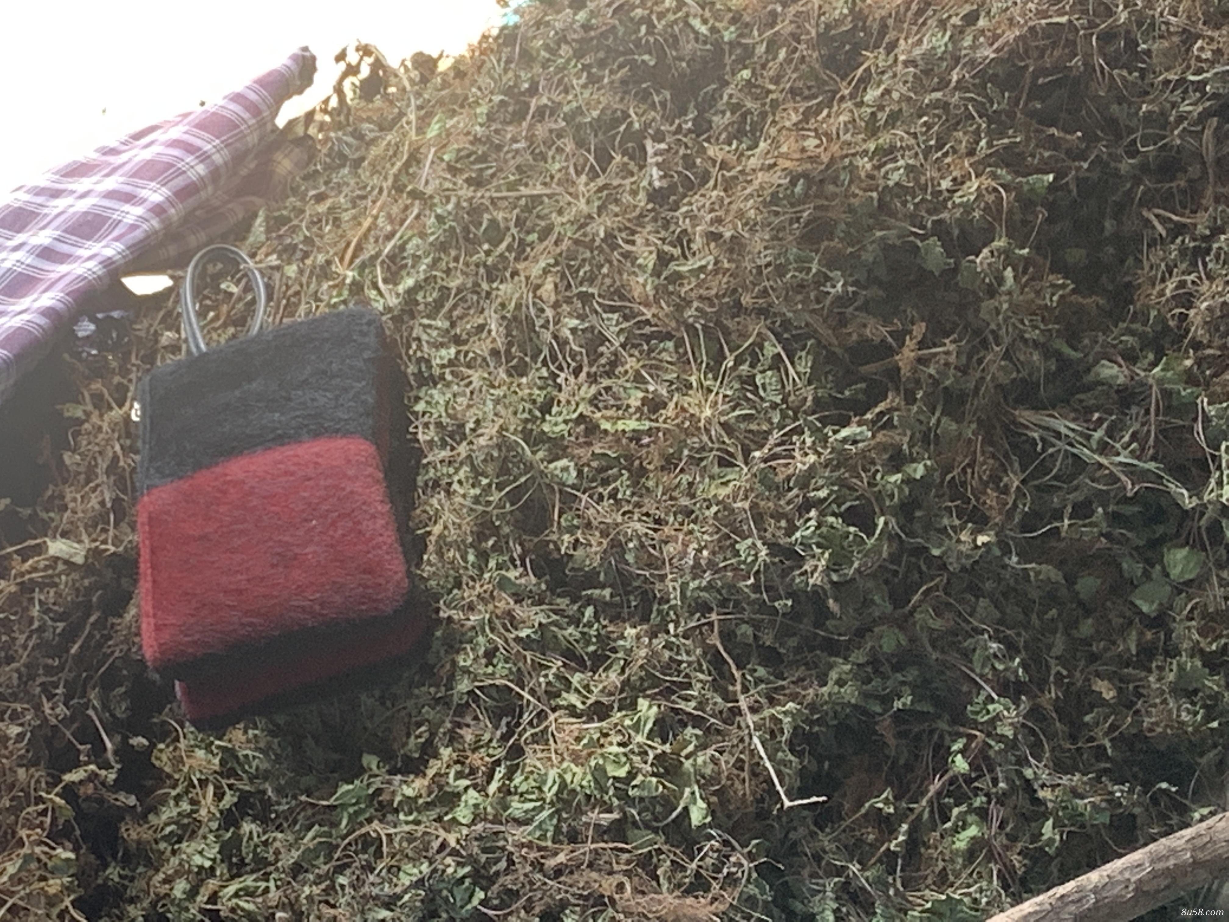 出售积雪草