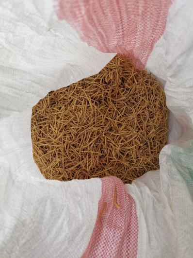 自家太子参出售