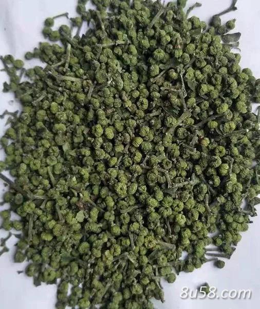 吴茱萸 2021年自己种的新上的药材