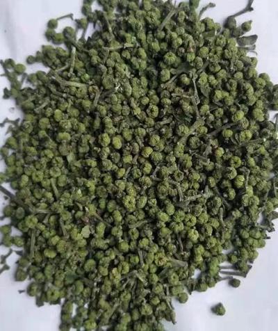 吴茱萸 2021年自己种的新上的药材