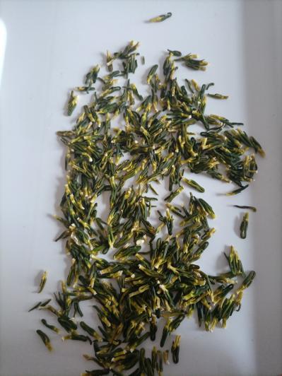 江西省广昌正宗白莲（莲心）自产自销价格优惠。