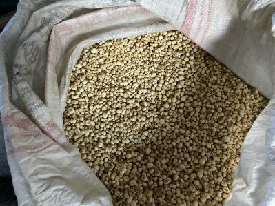 常年出售大量川贝母，产地直发，品质保障