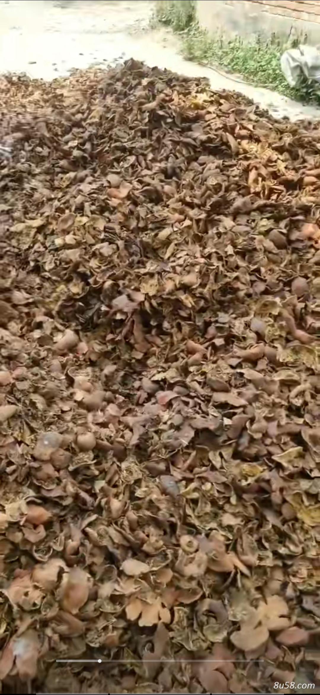石榴皮，石榴籽，常年供应