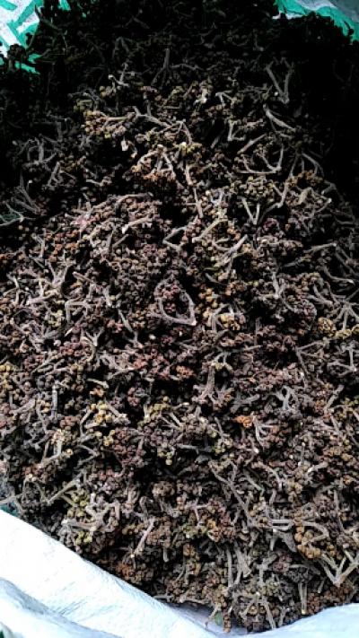 中花吴茱萸