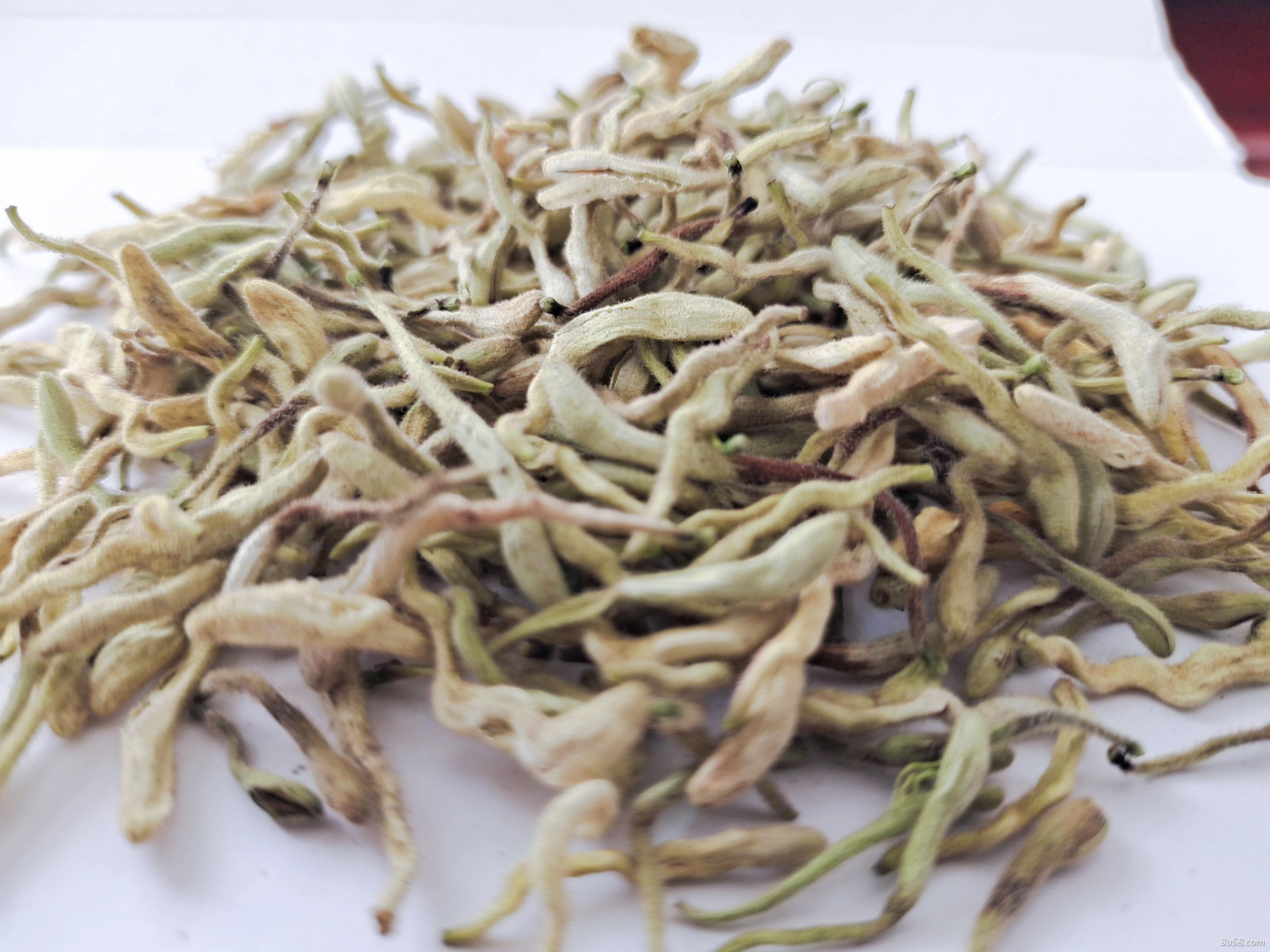 山里种植的金银花，绿色无污染，健康有保障！