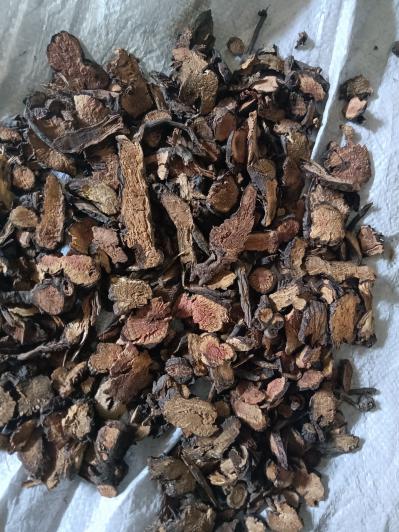 地榆白头翁女贞子，各种规格都有大货