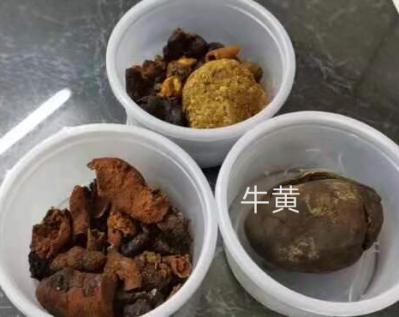 中美洲的天然牛黄