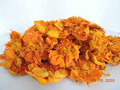 金莲花干花