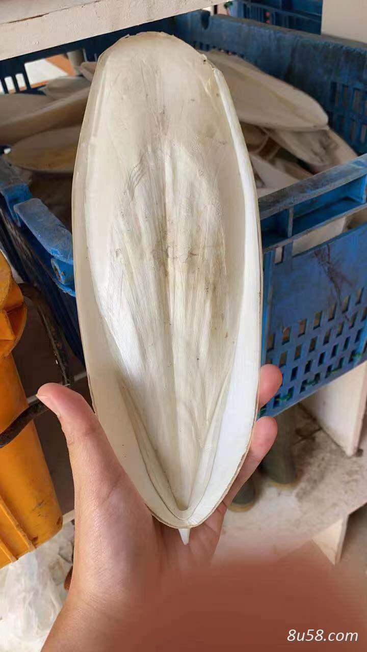 进口海螵蛸/墨鱼骨,干净,品质符合药典要求 进口海螵蛸/墨鱼骨,干净,品质符合药典要求