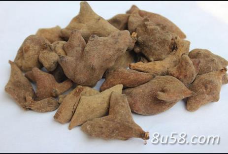 五倍子(干的)批发 五倍子(干的)批发
