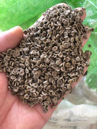 江西赣州粉防己种子，常年供应种苗