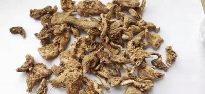 白芨投料统个