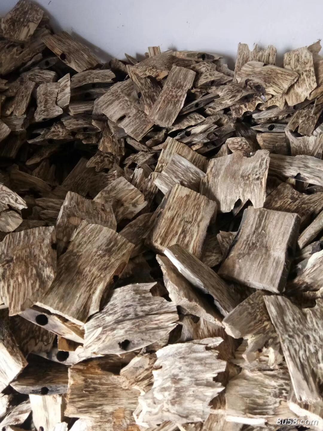 沉香火眼基地,长期大量出售沉香各类商品 沉香火眼基地,长期大量出售沉香各类商品