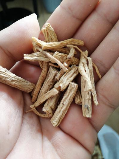 大西北正真的中药材党参
