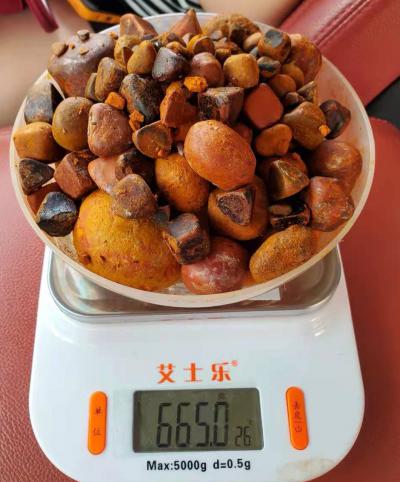 天然牛黄供应，有需要的厂家联系