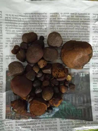 进口天然牛黄，长期供应，感兴趣的来