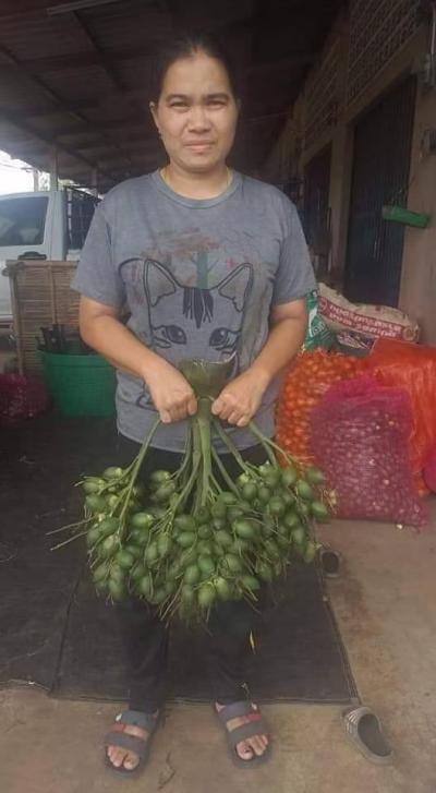 越南槟榔