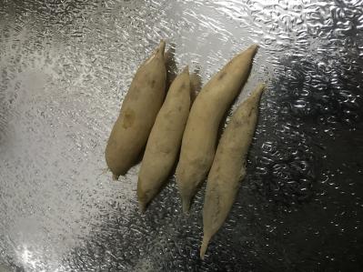 广西种植生天冬