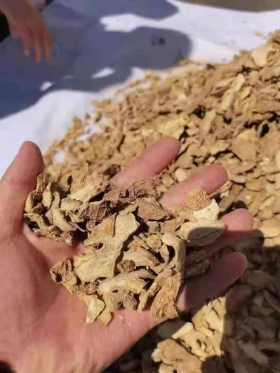 尼日利亚干姜现货500吨