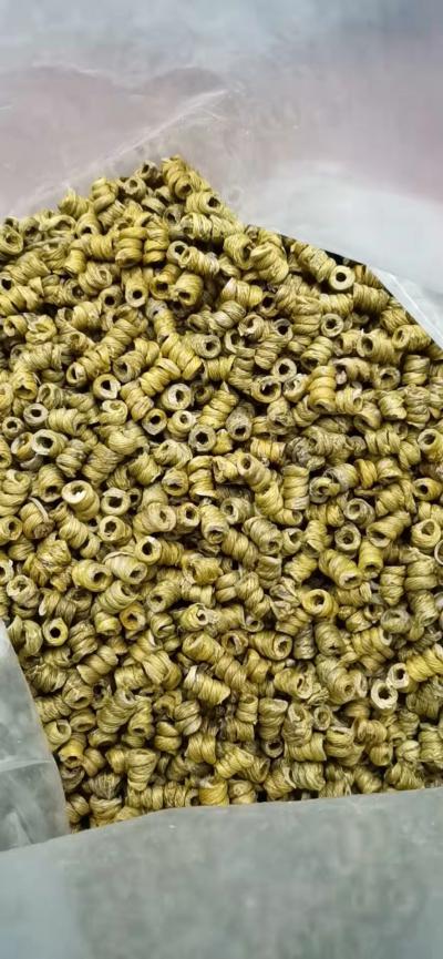正品霍山铁皮石斛枫斗新鲜干条安徽石斛茶