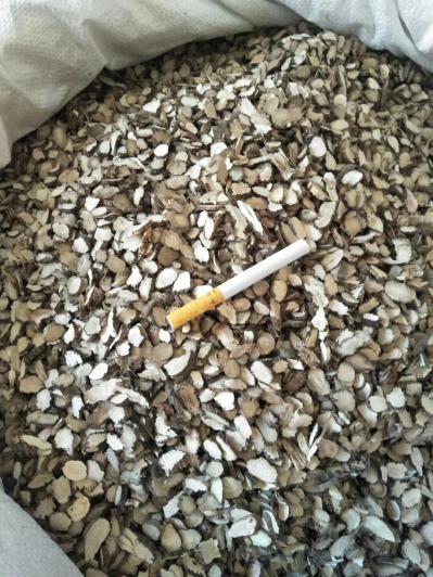水菖蒲新货 干净