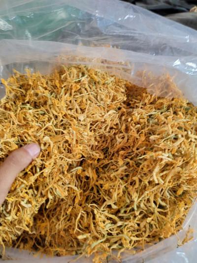 金银花