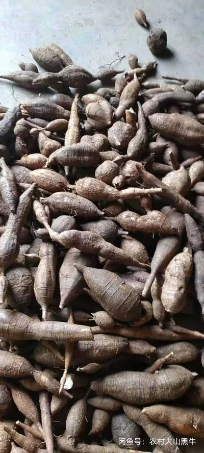 野生牛大力，平常自己上山挖的